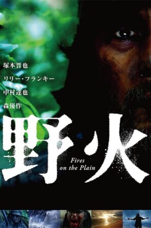 野火 (2015)