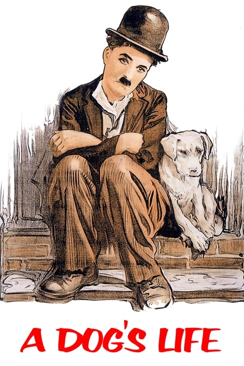 Bir Köpeğin Hayatı (1918)