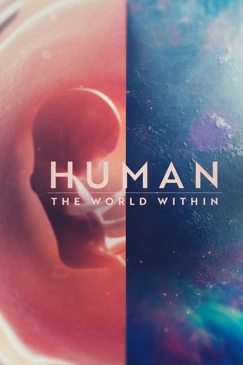 Human The World Within : 1.Sezon 5.Bölüm