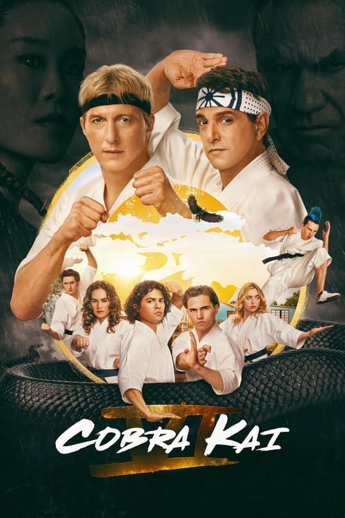 Cobra Kai : 1.Sezon 5.Bölüm